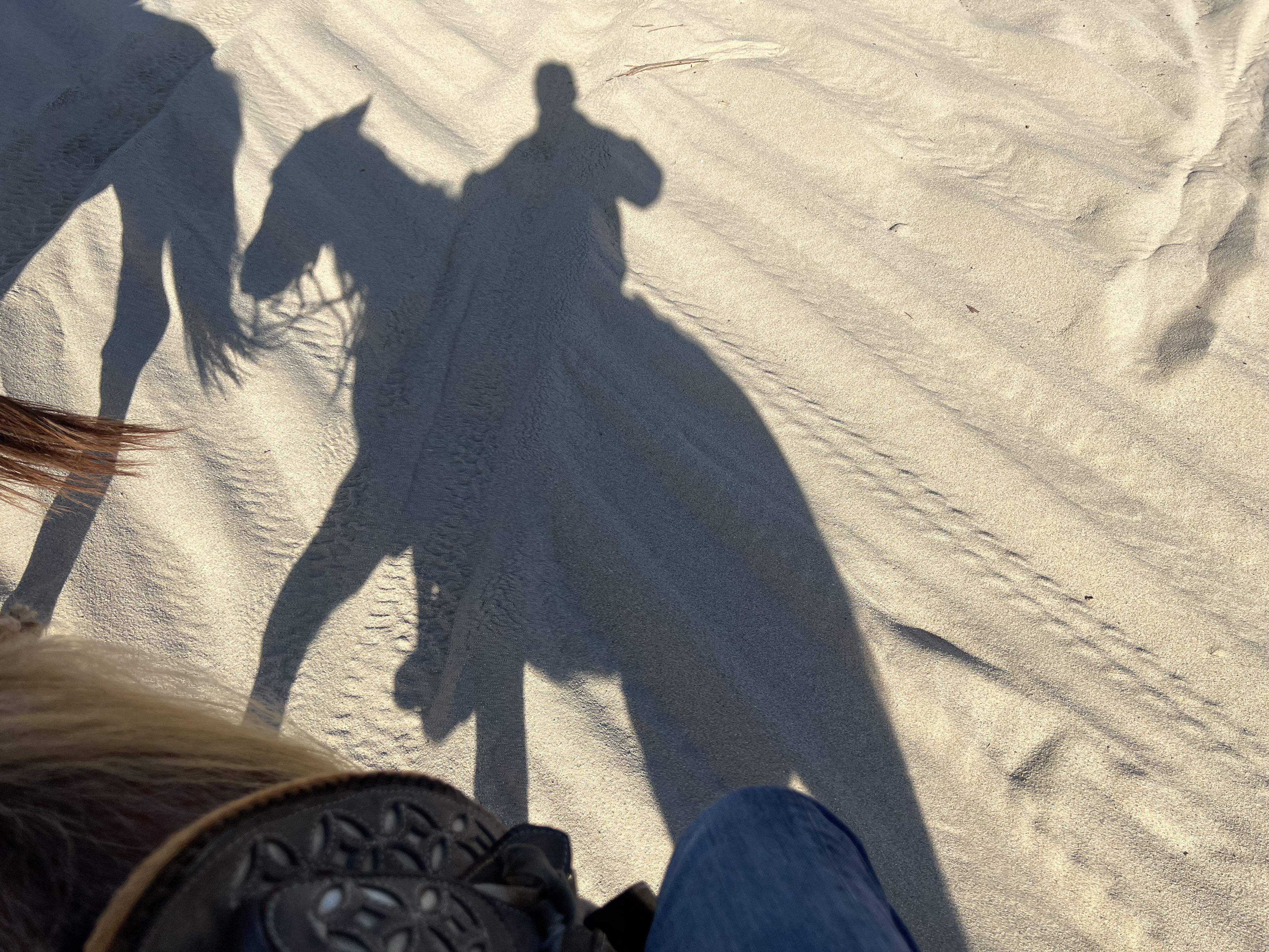 ./2024/13 - Cabo/IMG_4393.jpg